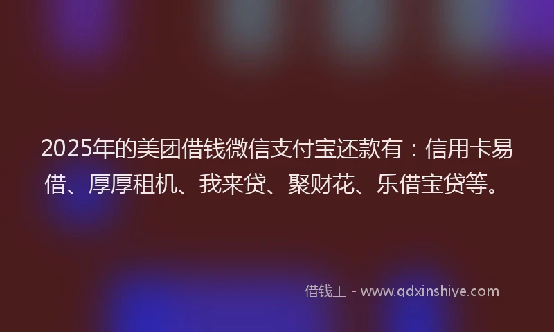 2025年的美团借钱微信支付宝还款有：信用卡易借、厚厚租机、我来贷、聚财花、乐借宝贷等。