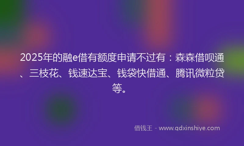 2025年的融e借有额度申请不过有：森森借呗通、三枝花、钱速达宝、钱袋快借通、腾讯微粒贷等。