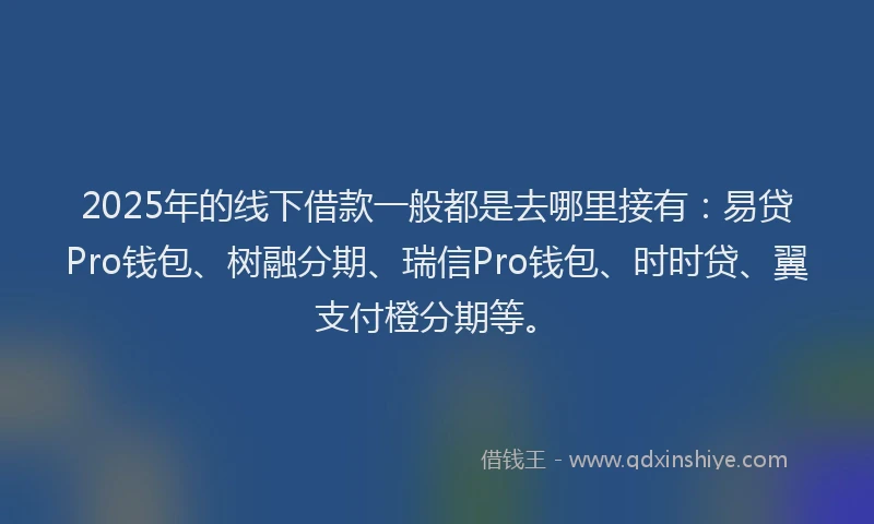 2025年的线下借款一般都是去哪里接有：易贷Pro钱包、树融分期、瑞信Pro钱包、时时贷、翼支付橙分期等。