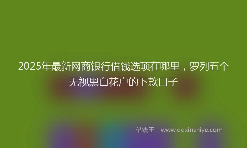 2025年最新网商银行借钱选项在哪里，罗列五个无视黑白花户的下款口子