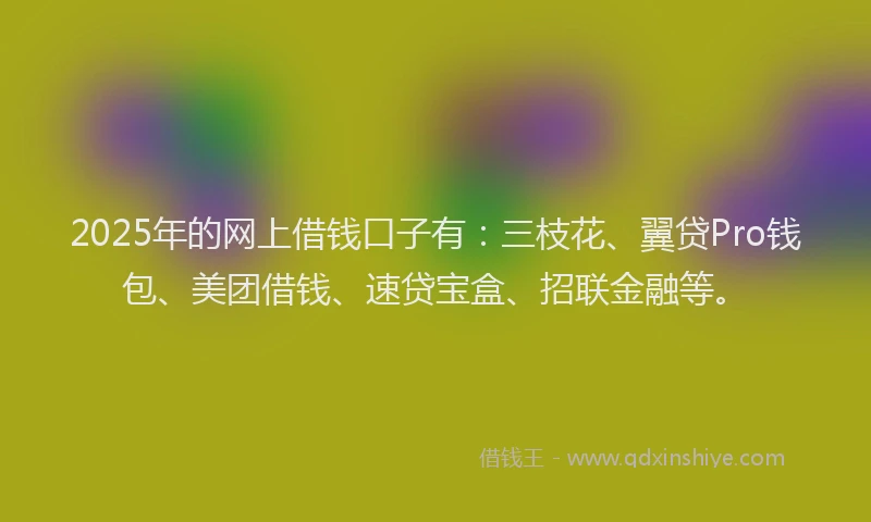 2025年的网上借钱口子有：三枝花、翼贷Pro钱包、美团借钱、速贷宝盒、招联金融等。