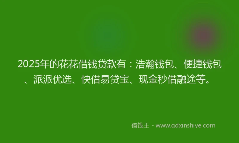 2025年的花花借钱贷款有：浩瀚钱包、便捷钱包、派派优选、快借易贷宝、现金秒借融途等。
