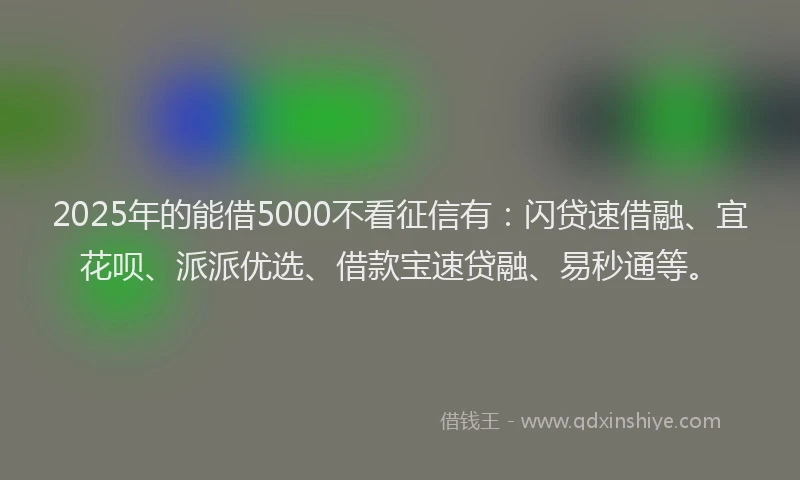 2025年的能借5000不看征信有：闪贷速借融、宜花呗、派派优选、借款宝速贷融、易秒通等。