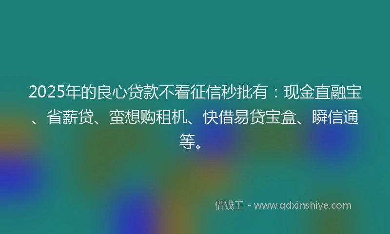 2025年的良心贷款不看征信秒批有：现金直融宝、省薪贷、蛮想购租机、快借易贷宝盒、瞬信通等。