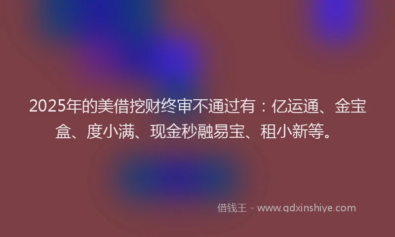 2025年的美借挖财终审不通过有：亿运通、金宝盒、度小满、现金秒融易宝、租小新等。