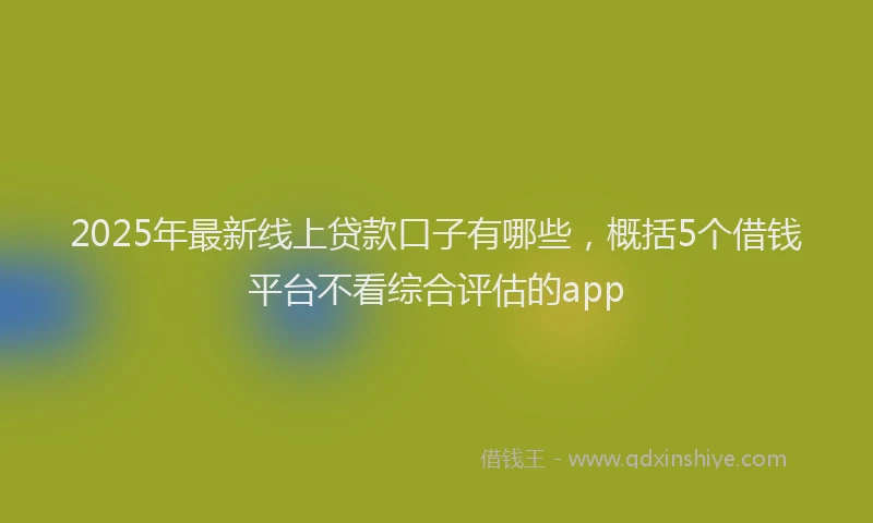 2025年最新线上贷款口子有哪些，概括5个借钱平台不看综合评估的app