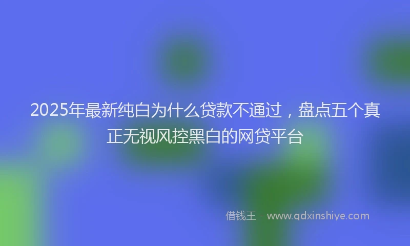 2025年最新纯白为什么贷款不通过，盘点五个真正无视风控黑白的网贷平台
