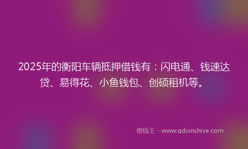 2025年的衡阳车辆抵押借钱有：闪电通、钱速达贷、易得花、小鱼钱包、创硕租机等。