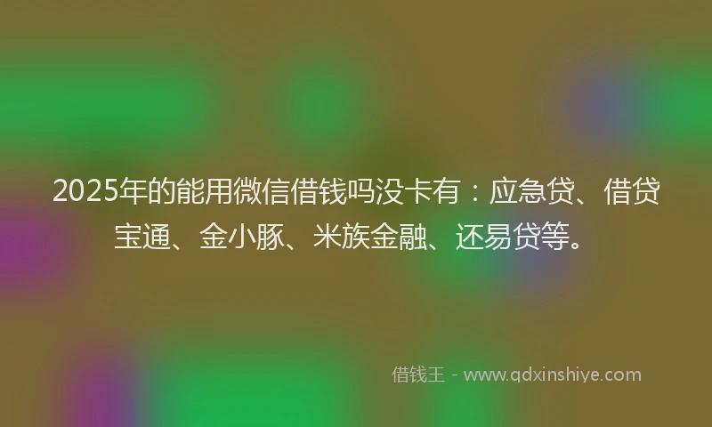 2025年的能用微信借钱吗没卡有：应急贷、借贷宝通、金小豚、米族金融、还易贷等。
