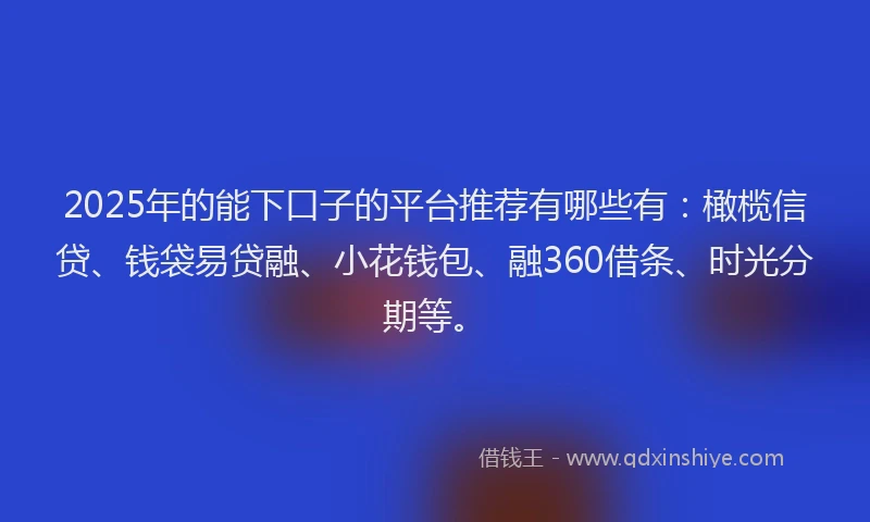2025年的能下口子的平台推荐有哪些有：橄榄信贷、钱袋易贷融、小花钱包、融360借条、时光分期等。