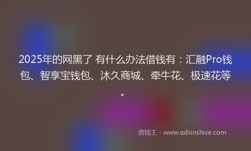 2025年的网黑了 有什么办法借钱有：汇融Pro钱包、智享宝钱包、沐久商城、牵牛花、极速花等。