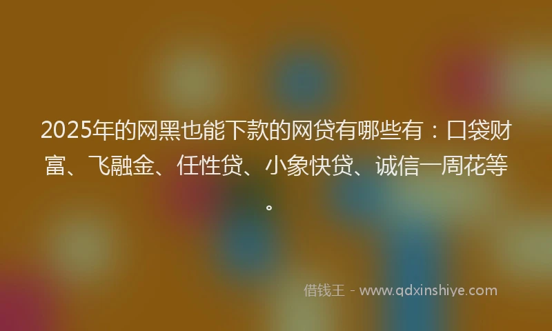 2025年的网黑也能下款的网贷有哪些有：口袋财富、飞融金、任性贷、小象快贷、诚信一周花等。