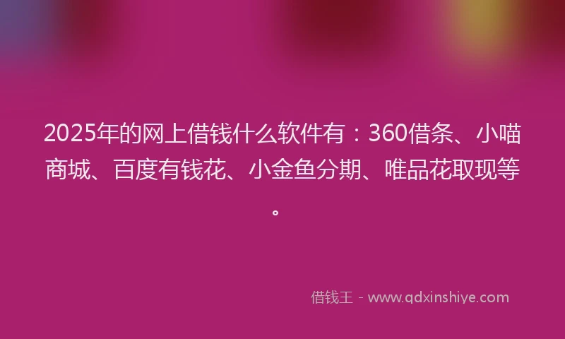 2025年的网上借钱什么软件有：360借条、小喵商城、百度有钱花、小金鱼分期、唯品花取现等。