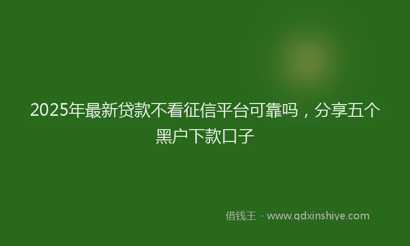 2025年最新贷款不看征信平台可靠吗，分享五个黑户下款口子