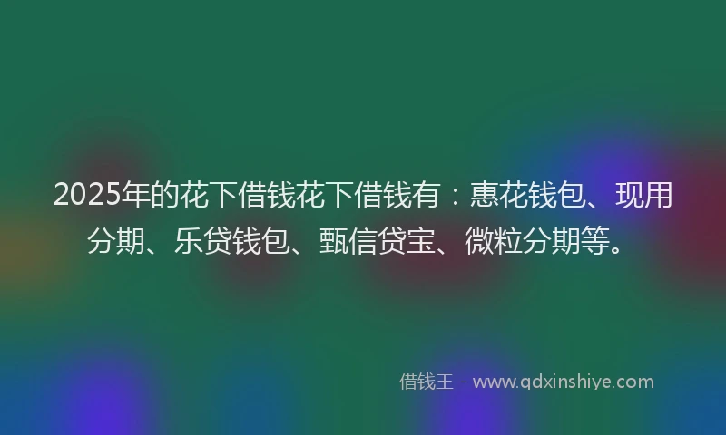 2025年的花下借钱花下借钱有：惠花钱包、现用分期、乐贷钱包、甄信贷宝、微粒分期等。