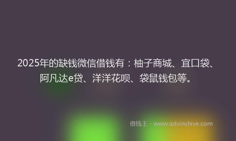 2025年的缺钱微信借钱有：柚子商城、宜口袋、阿凡达e贷、洋洋花呗、袋鼠钱包等。