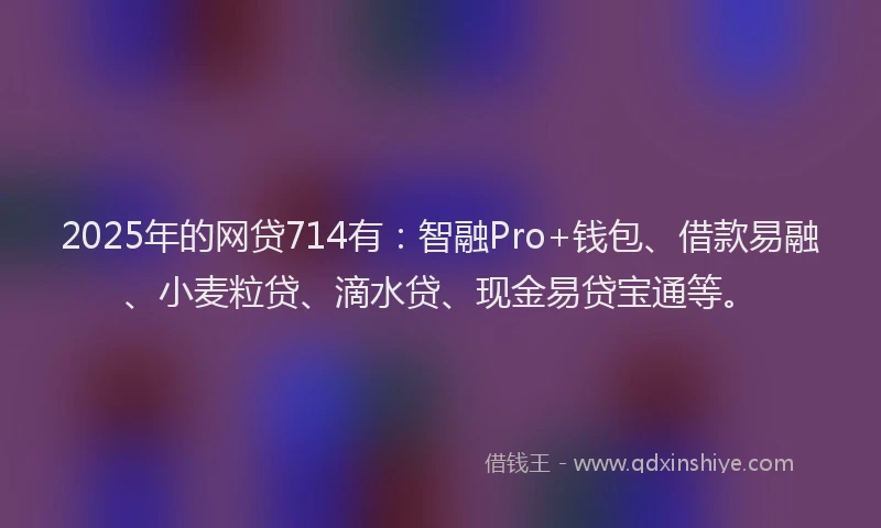 2025年的网贷714有：智融Pro+钱包、借款易融、小麦粒贷、滴水贷、现金易贷宝通等。