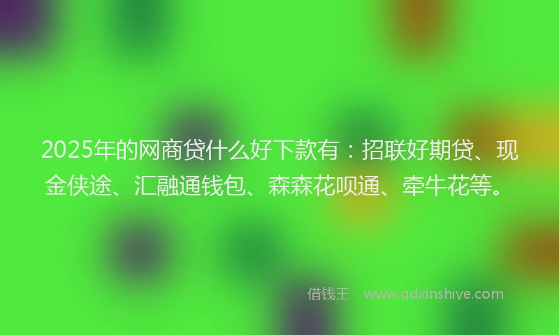 2025年的网商贷什么好下款有：招联好期贷、现金侠途、汇融通钱包、森森花呗通、牵牛花等。