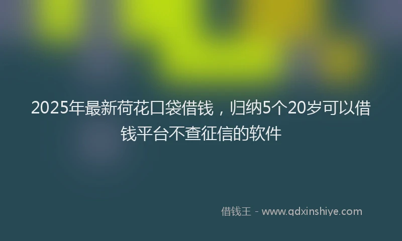 2025年最新荷花口袋借钱，归纳5个20岁可以借钱平台不查征信的软件