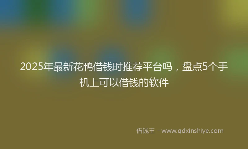 2025年最新花鸭借钱时推荐平台吗，盘点5个手机上可以借钱的软件