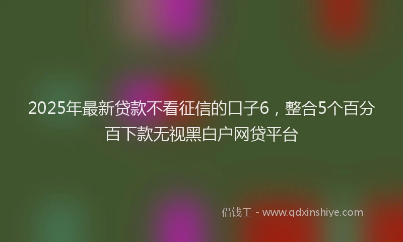 2025年最新贷款不看征信的口子6，整合5个百分百下款无视黑白户网贷平台