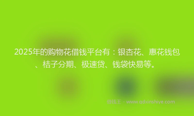 2025年的购物花借钱平台有：银杏花、惠花钱包、桔子分期、极速贷、钱袋快易等。