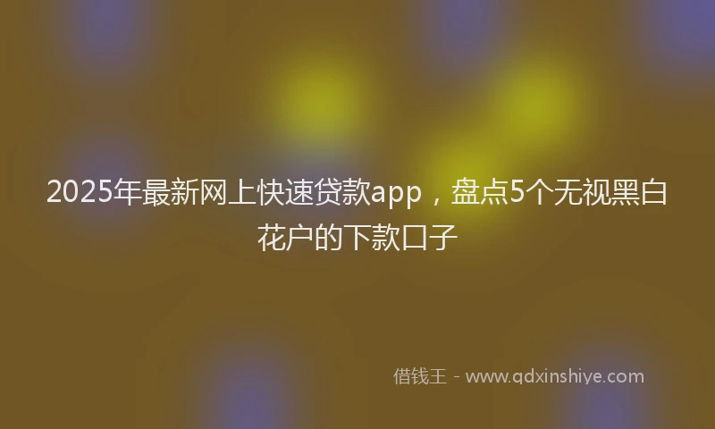 2025年最新网上快速贷款app，盘点5个无视黑白花户的下款口子