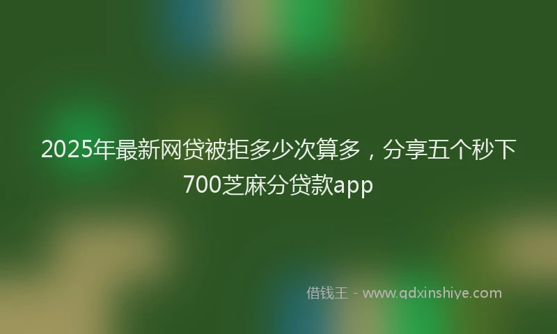 2025年最新网贷被拒多少次算多，分享五个秒下700芝麻分贷款app
