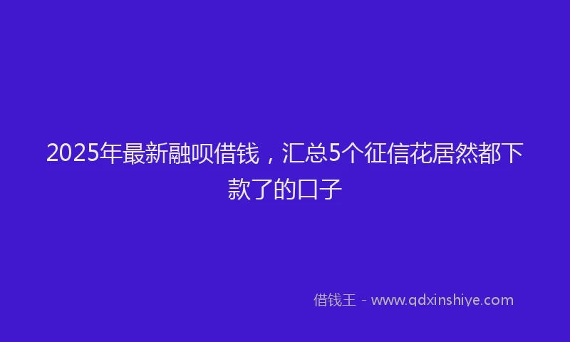 2025年最新融呗借钱，汇总5个征信花居然都下款了的口子