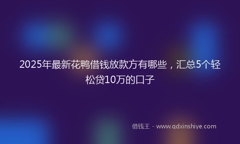 2025年最新花鸭借钱放款方有哪些，汇总5个轻松贷10万的口子