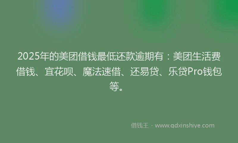 2025年的美团借钱最低还款逾期有：美团生活费借钱、宜花呗、魔法速借、还易贷、乐贷Pro钱包等。