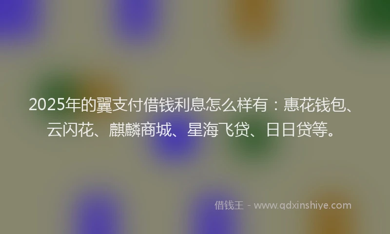 2025年的翼支付借钱利息怎么样有：惠花钱包、云闪花、麒麟商城、星海飞贷、日日贷等。