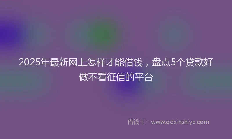 2025年最新网上怎样才能借钱，盘点5个贷款好做不看征信的平台