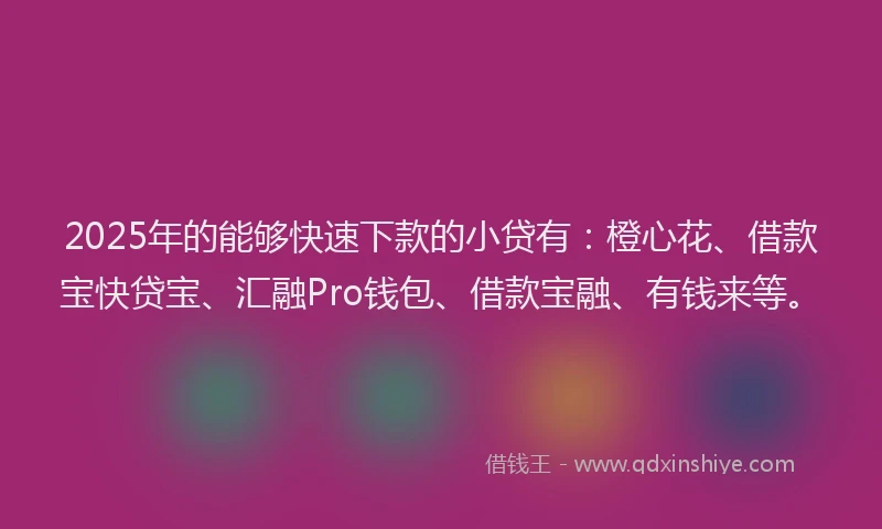 2025年的能够快速下款的小贷有:橙心花、借款宝快贷宝、汇融Pro钱包、借款宝融、有钱来等。