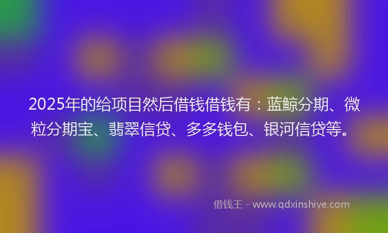 2025年的给项目然后借钱借钱有：蓝鲸分期、微粒分期宝、翡翠信贷、多多钱包、银河信贷等。