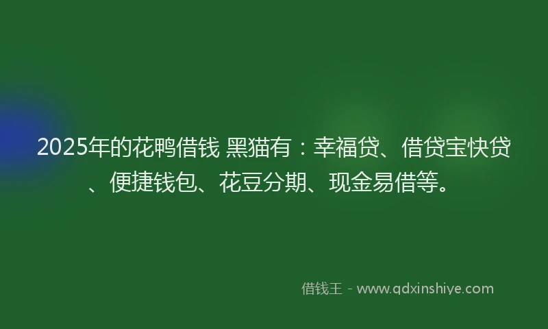 2025年的花鸭借钱 黑猫有：幸福贷、借贷宝快贷、便捷钱包、花豆分期、现金易借等。