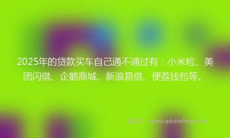 2025年的贷款买车自己通不通过有：小米粒、美团闪借、企鹅商城、新浪易借、便荔钱包等。