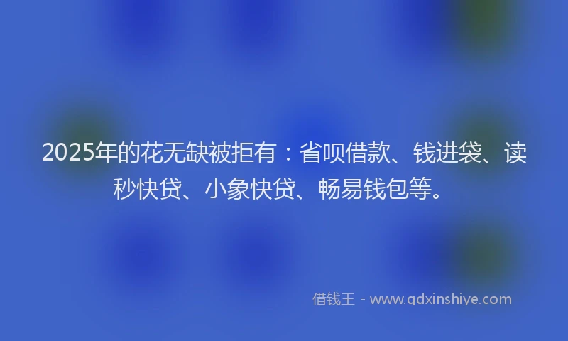2025年的花无缺被拒有：省呗借款、钱进袋、读秒快贷、小象快贷、畅易钱包等。