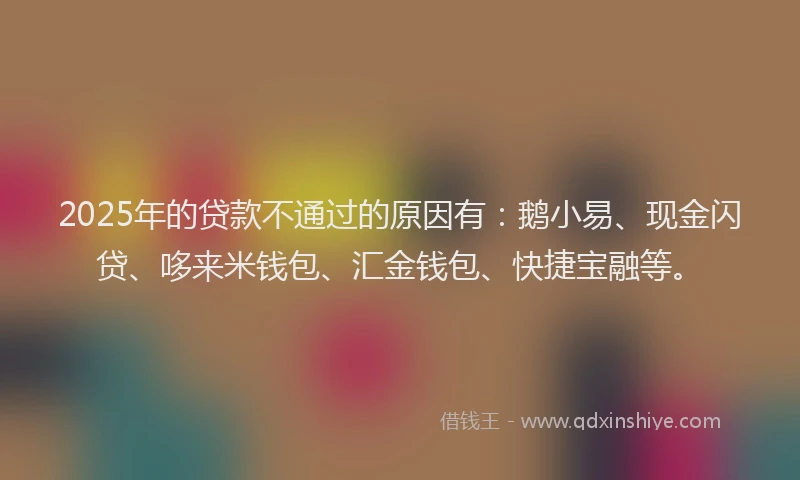 2025年的贷款不通过的原因有：鹅小易、现金闪贷、哆来米钱包、汇金钱包、快捷宝融等。
