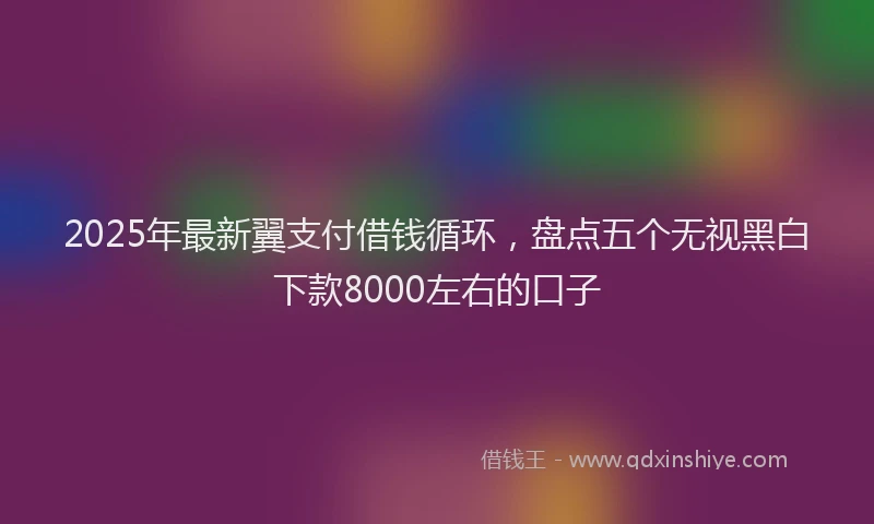 2025年最新翼支付借钱循环，盘点五个无视黑白下款8000左右的口子