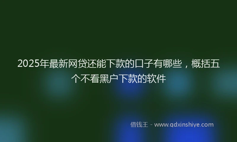 2025年最新网贷还能下款的口子有哪些，概括五个不看黑户下款的软件