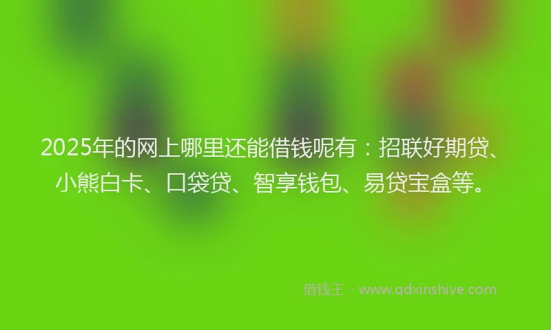 2025年的网上哪里还能借钱呢有：招联好期贷、小熊白卡、口袋贷、智享钱包、易贷宝盒等。
