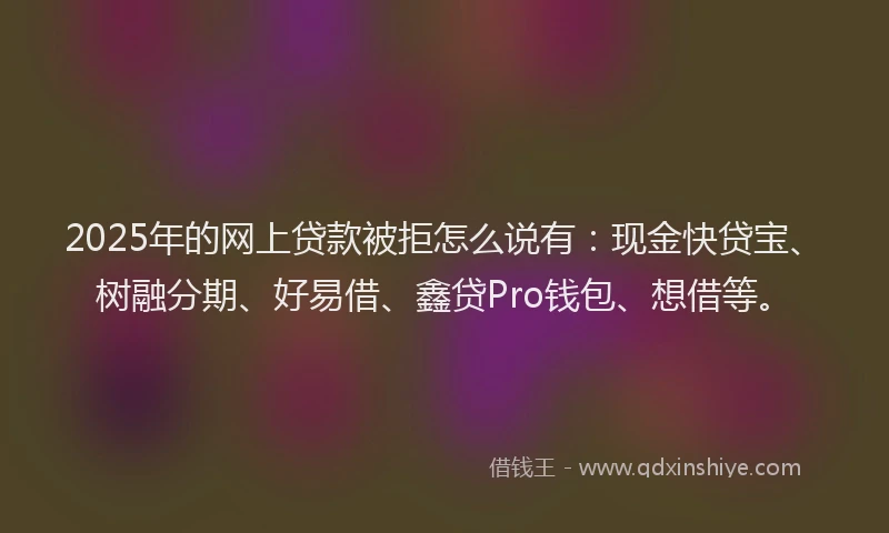 2025年的网上贷款被拒怎么说有：现金快贷宝、树融分期、好易借、鑫贷Pro钱包、想借等。