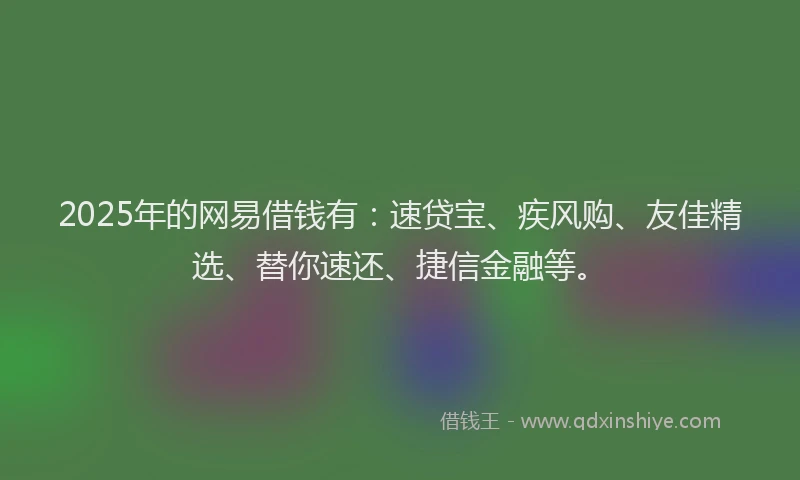 2025年的网易借钱有：速贷宝、疾风购、友佳精选、替你速还、捷信金融等。
