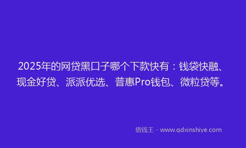 2025年的网贷黑口子哪个下款快有：钱袋快融、现金好贷、派派优选、普惠Pro钱包、微粒贷等。