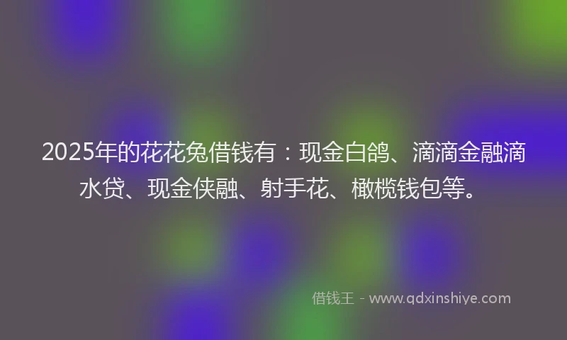 2025年的花花兔借钱有：现金白鸽、滴滴金融滴水贷、现金侠融、射手花、橄榄钱包等。