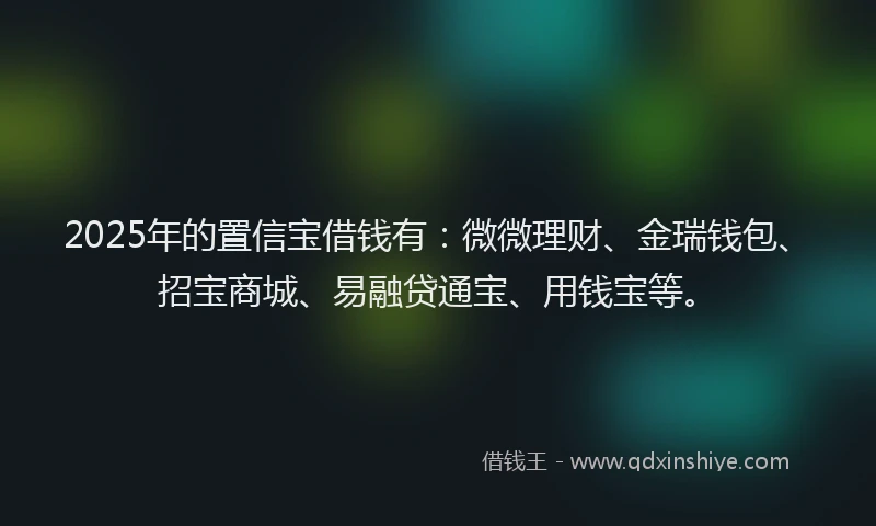 2025年的置信宝借钱有：微微理财、金瑞钱包、招宝商城、易融贷通宝、用钱宝等。