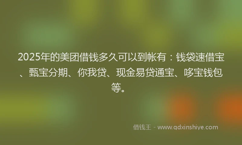 2025年的美团借钱多久可以到帐有：钱袋速借宝、甄宝分期、你我贷、现金易贷通宝、哆宝钱包等。