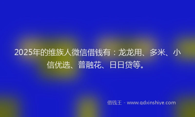 2025年的维族人微信借钱有：龙龙用、多米、小信优选、普融花、日日贷等。