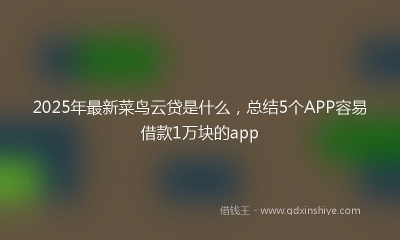 2025年最新菜鸟云贷是什么，总结5个APP容易借款1万块的app